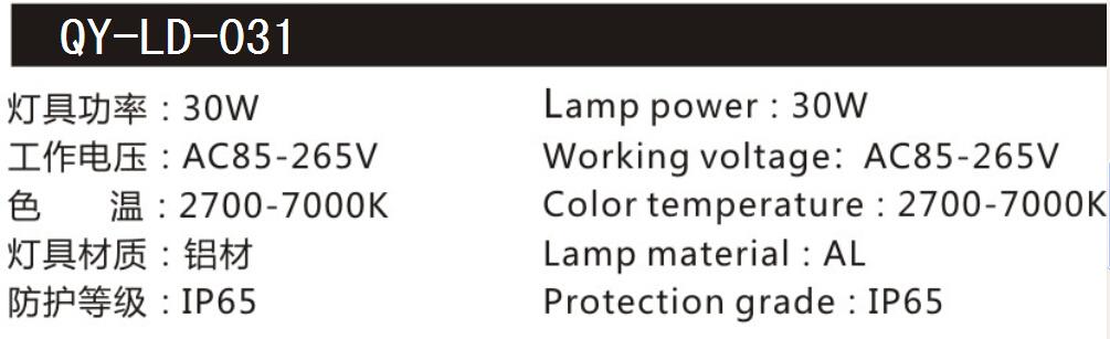 QY-LD-0031路灯